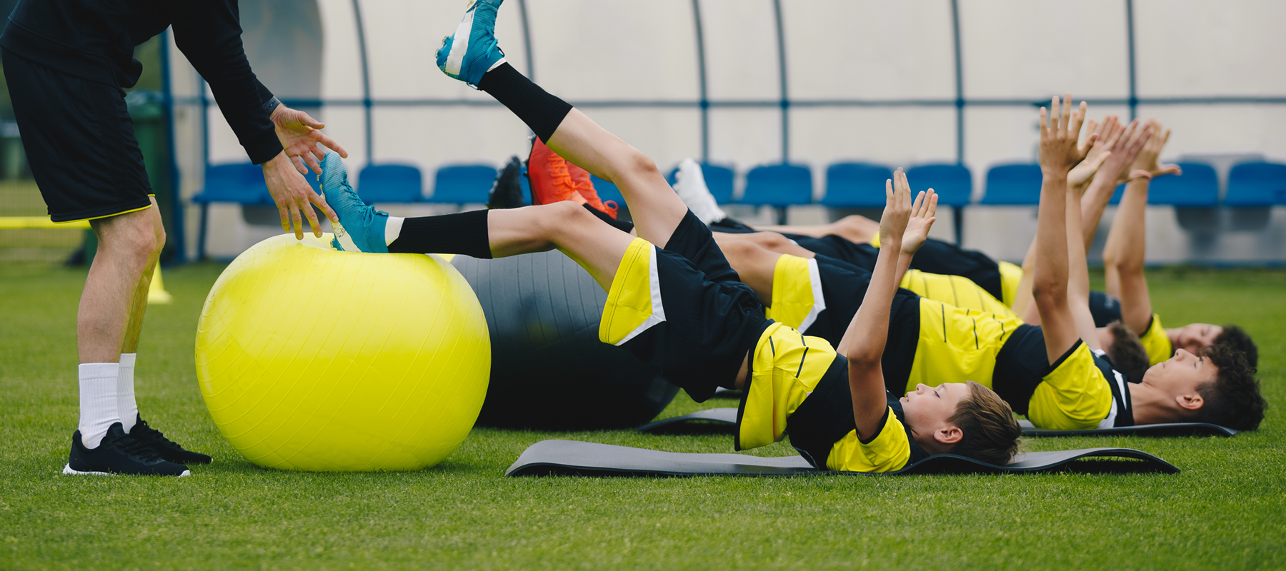 Exercise Balls & Stability