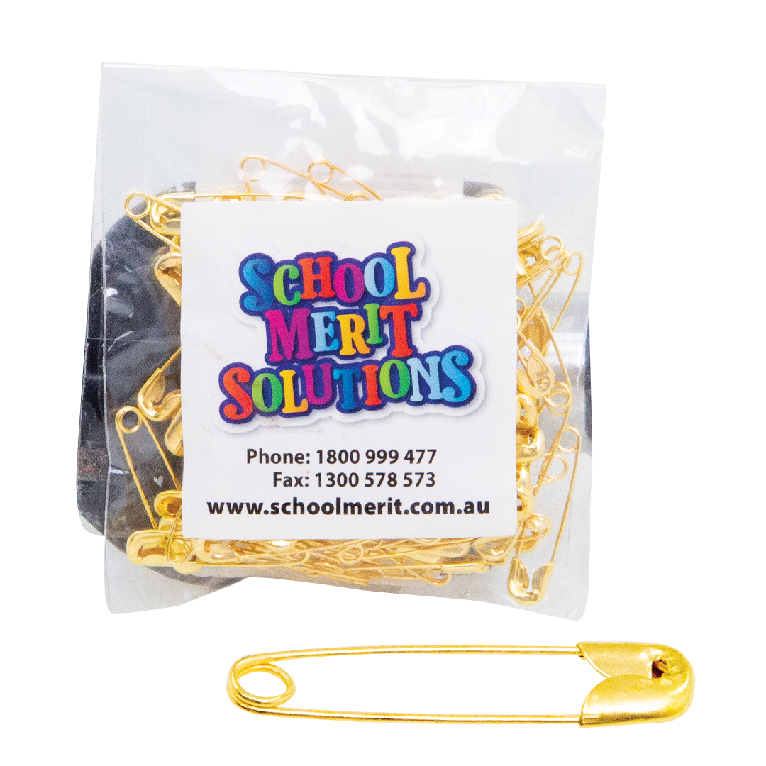 Safety Pins - Pack of 100