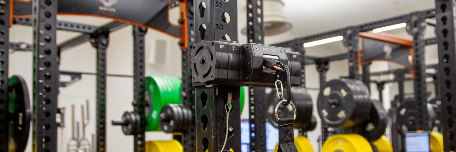 ANCORE Exercise Pulley