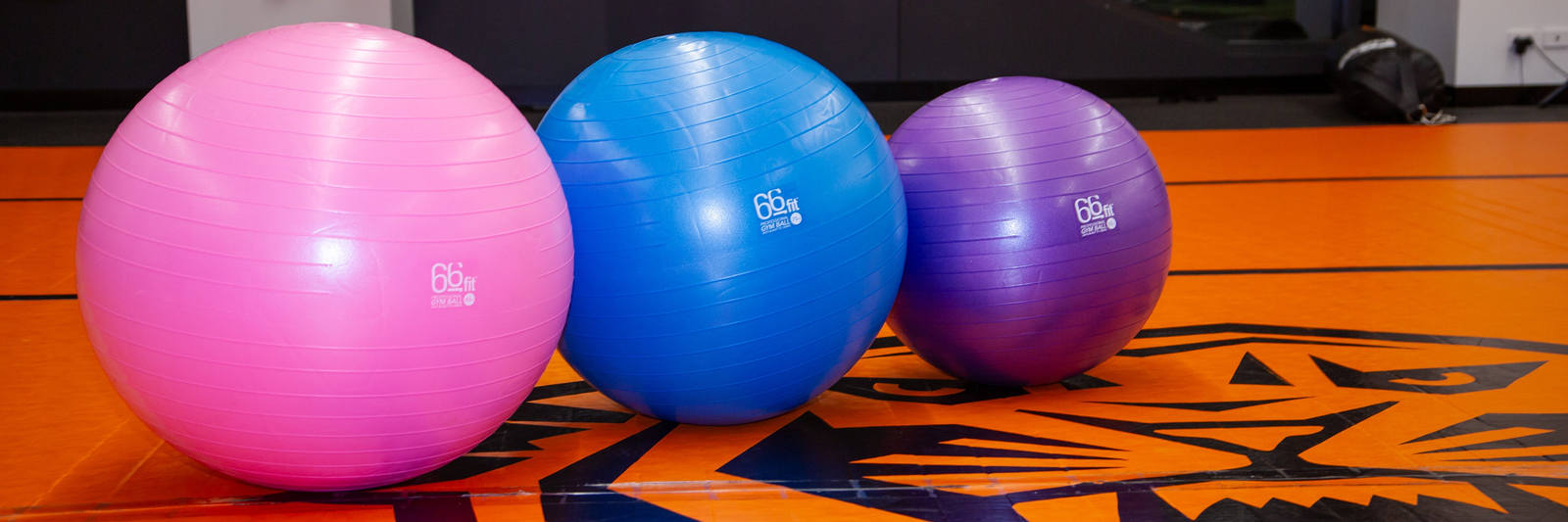 Exercise Balls Stability Victor Sports