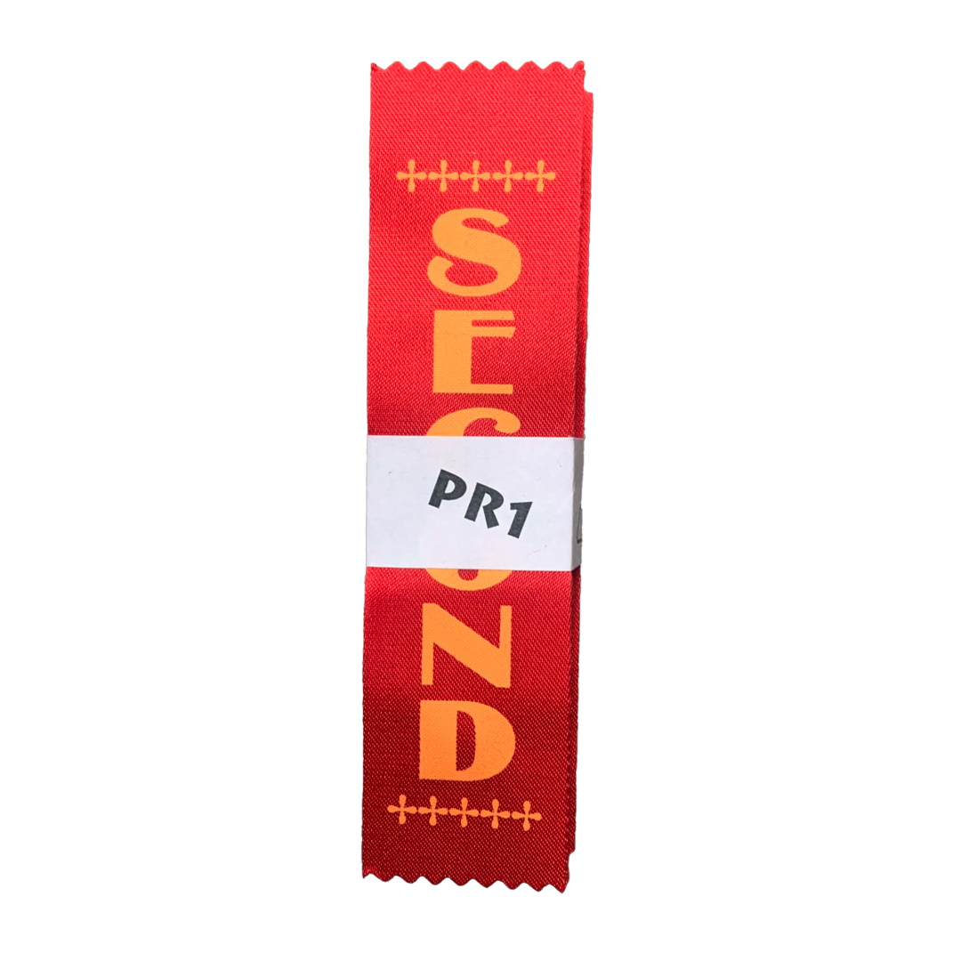 Ribbons Placement Awards Pack of 100