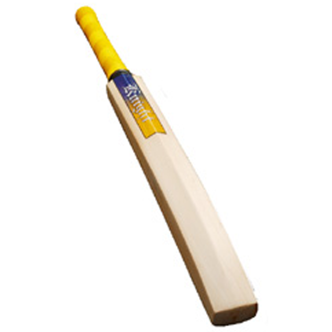Cricket Technique Bat Size 5 - Victor Sports