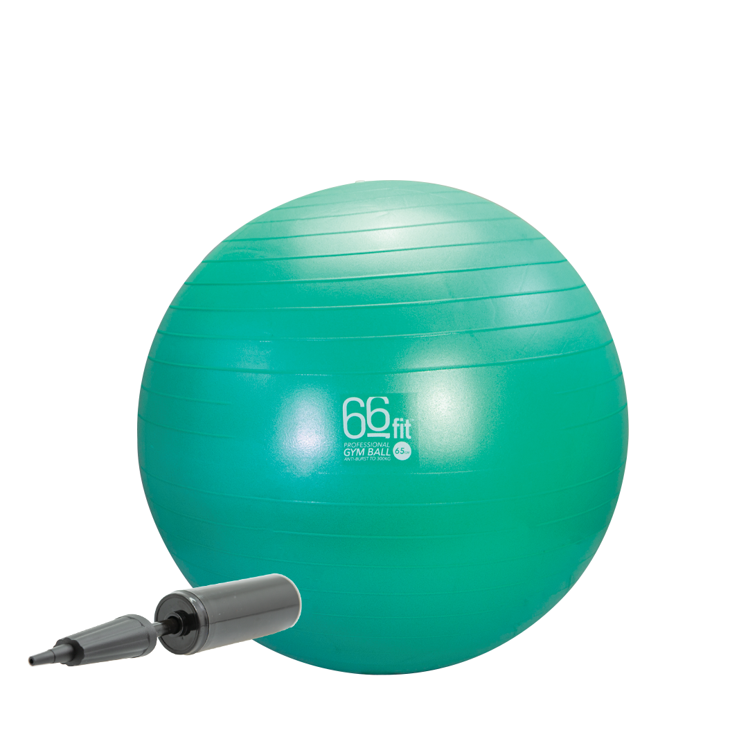66fit Exercise Gym Balls