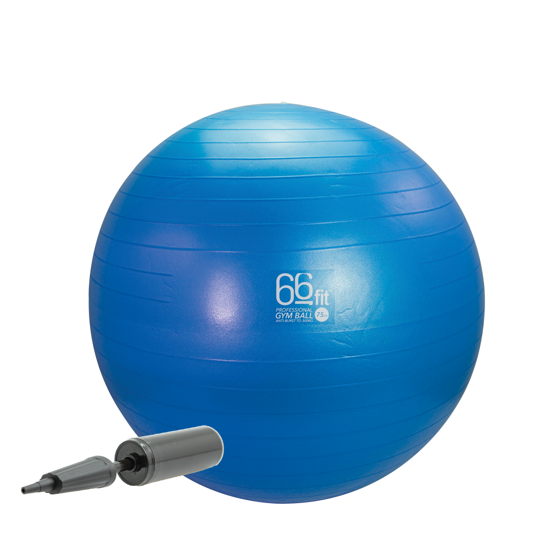 66fit Exercise Gym Balls