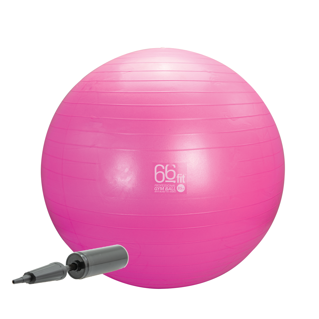 66fit Exercise Gym Balls