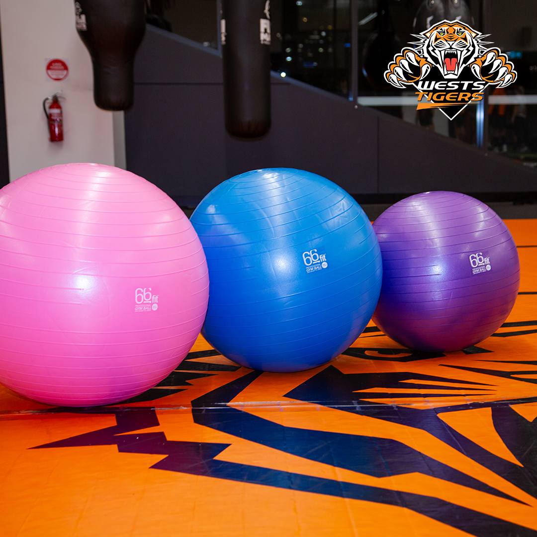 66BALL 66fit Exercise Gym Balls Action Shot3