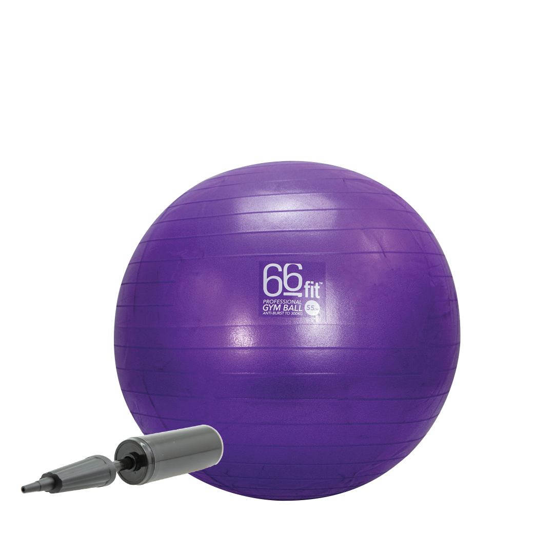 66BALL55 66fit Exercise Gym Balls