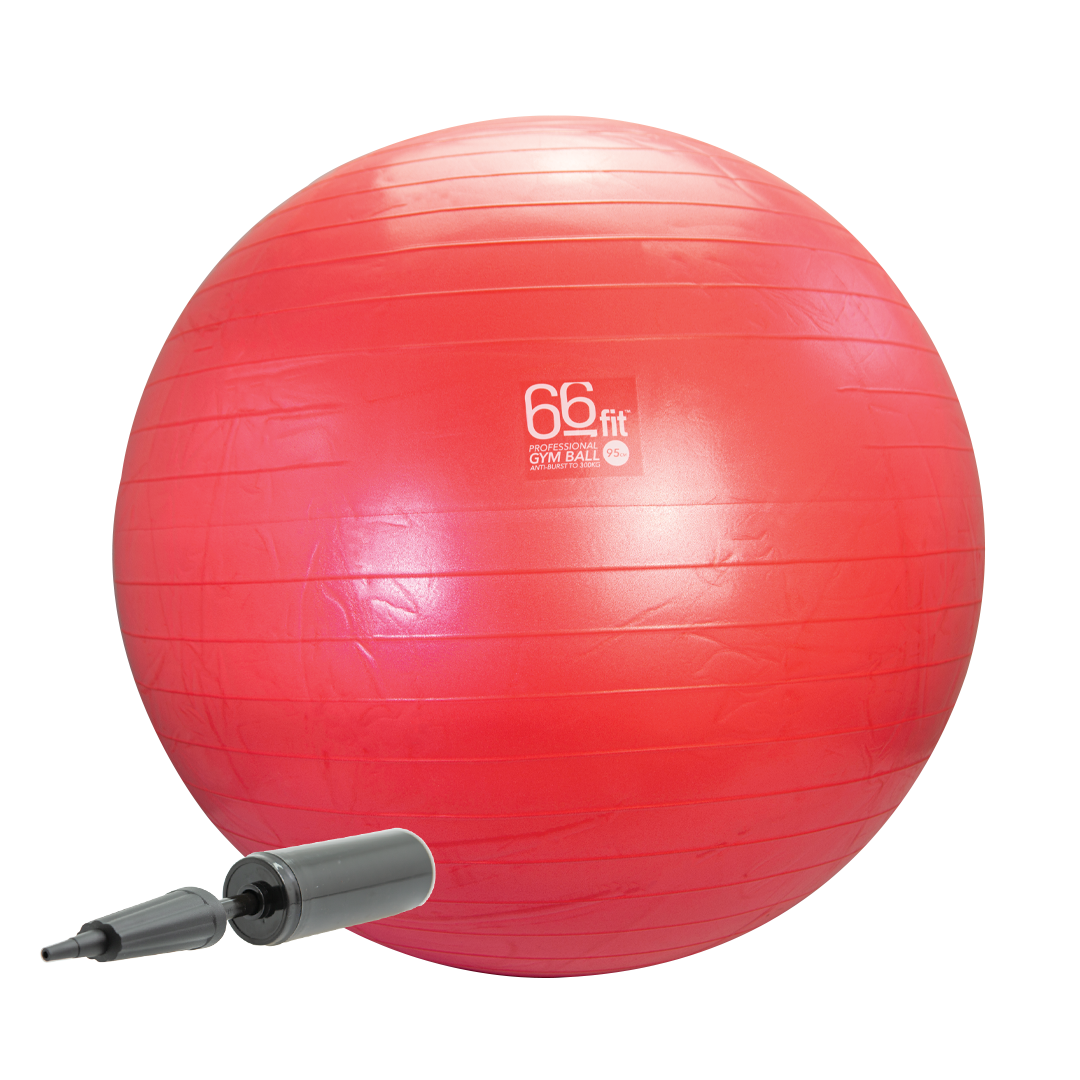 66BALL95 66fit Exercise Gym Balls