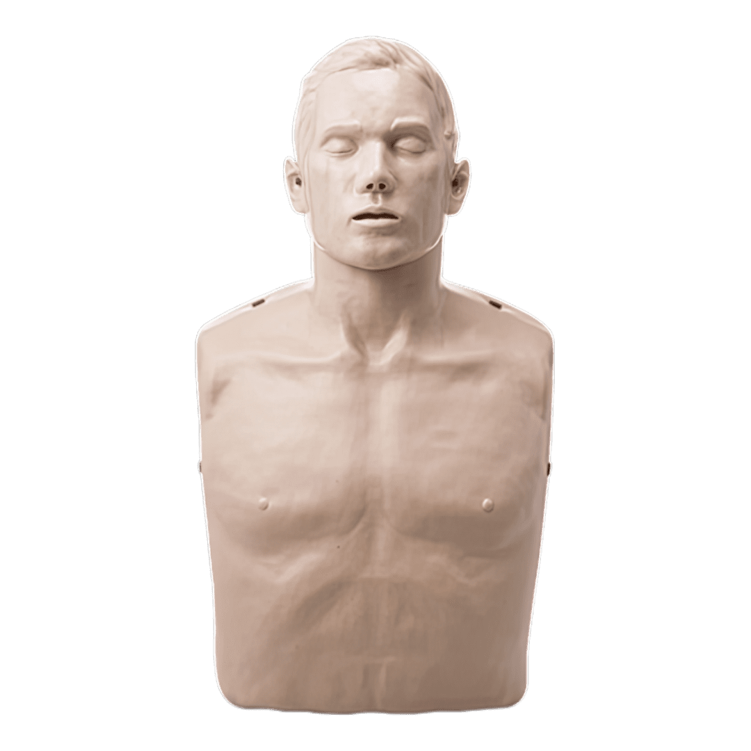 BRAYDEN Adult CPR Manikin (without lights)