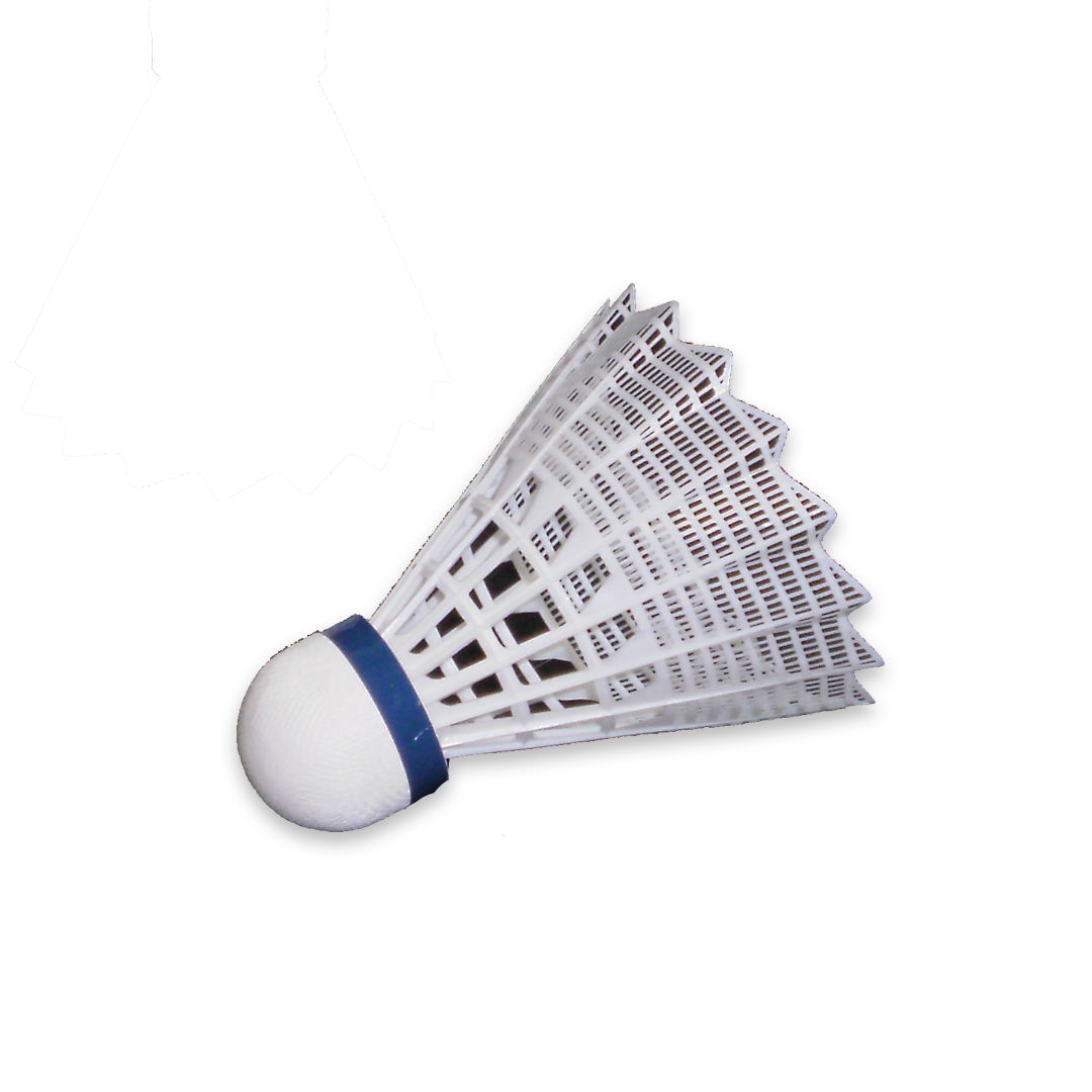Victor Badminton Shuttles Tournament