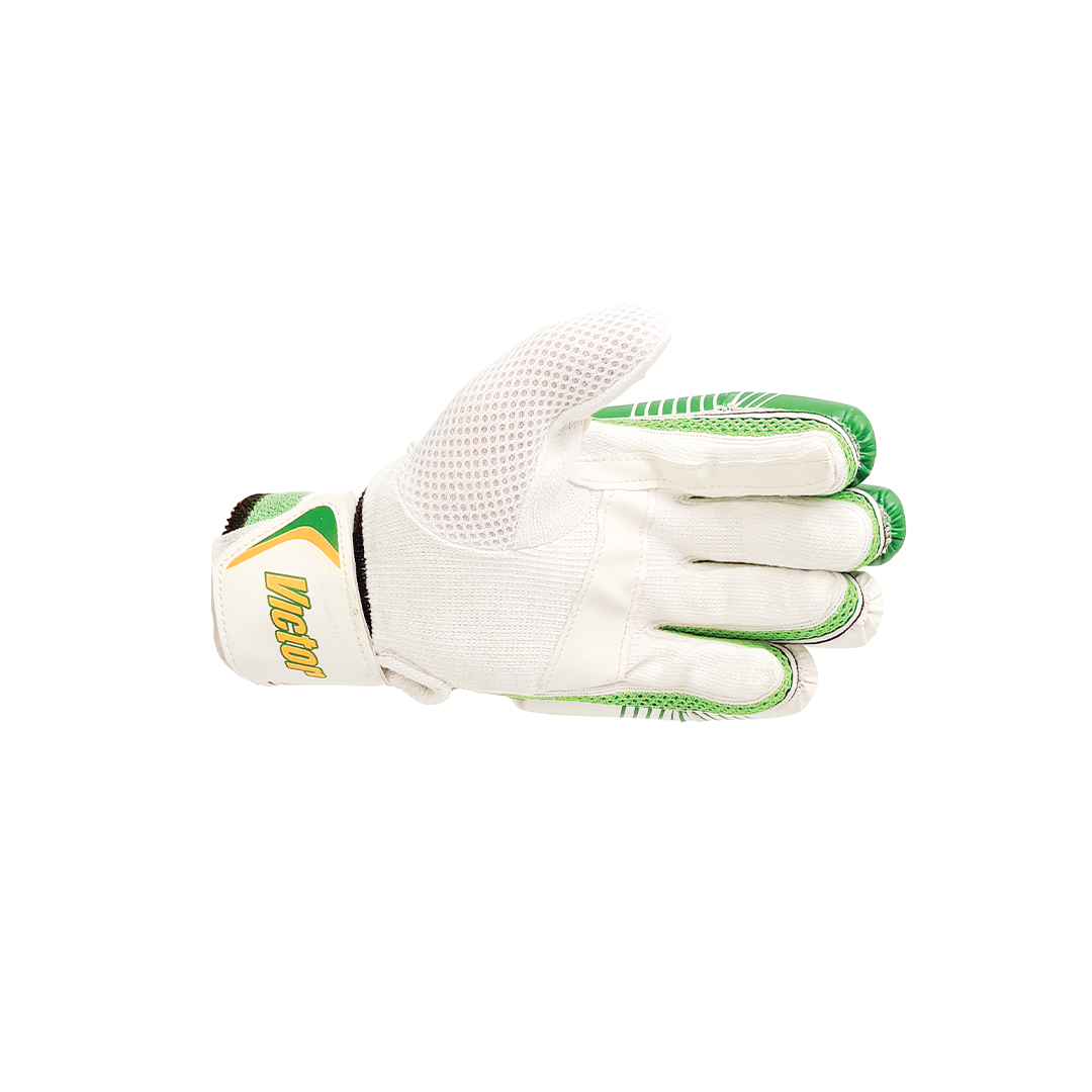 Victor Cricket Batting Gloves Academy