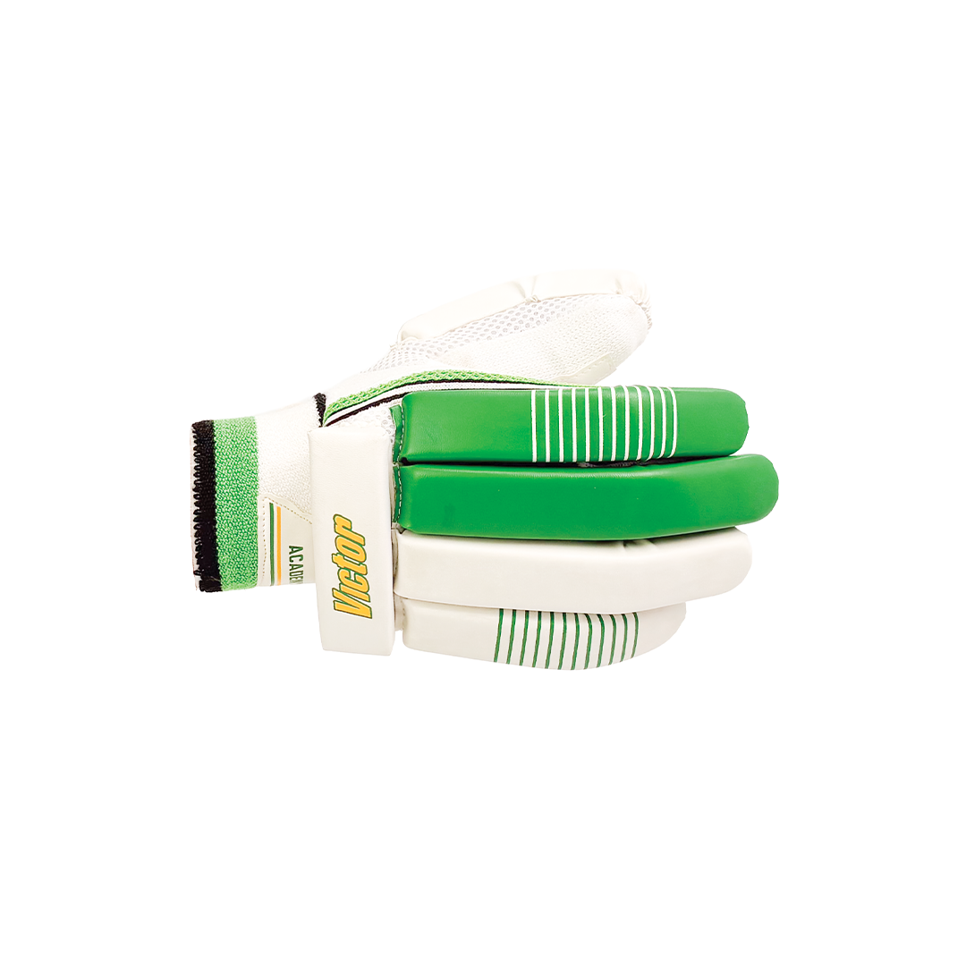 Victor Cricket Batting Gloves Academy