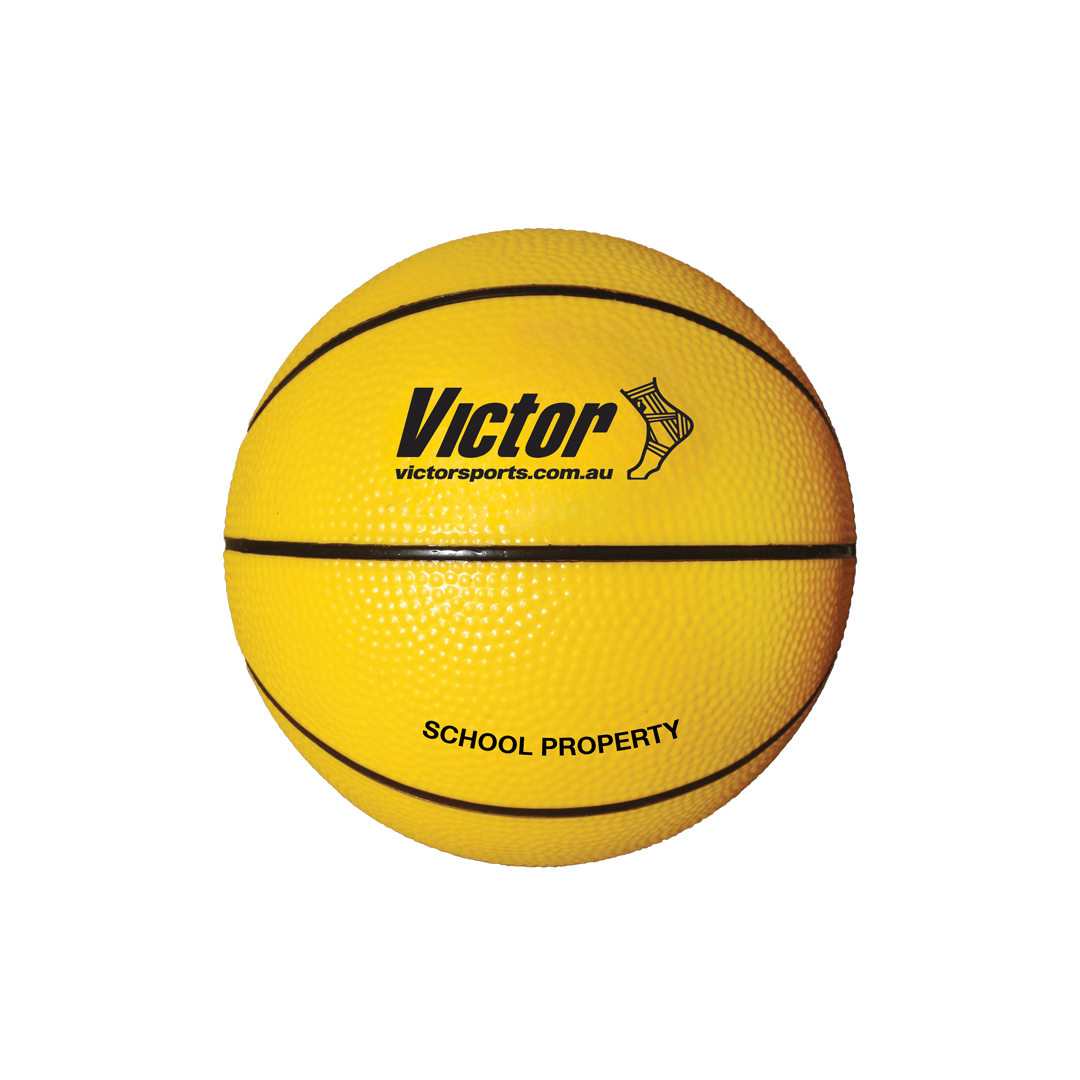 VPBVS Victor Vinyl School Basketball Main