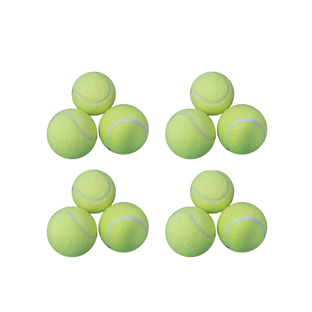 VTENB12 Victor Tennis Ball 12 Main